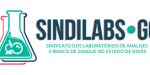 SindiLabs Logo